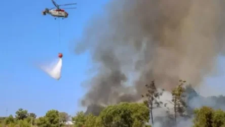 Թուրքիայի 5 նահանգներում անտառային հրդեհներ են