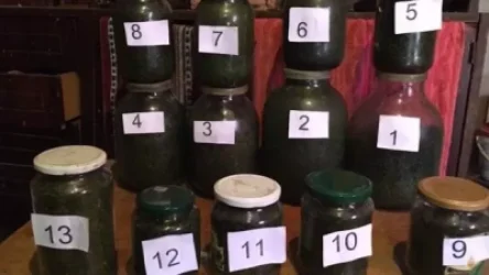 ՏԵՍԱՆՅՈՒԹ. Աշտարակի ոստիկաններն առանձնապես խոշոր չափերով թմրամիջոց են հայտնաբերել