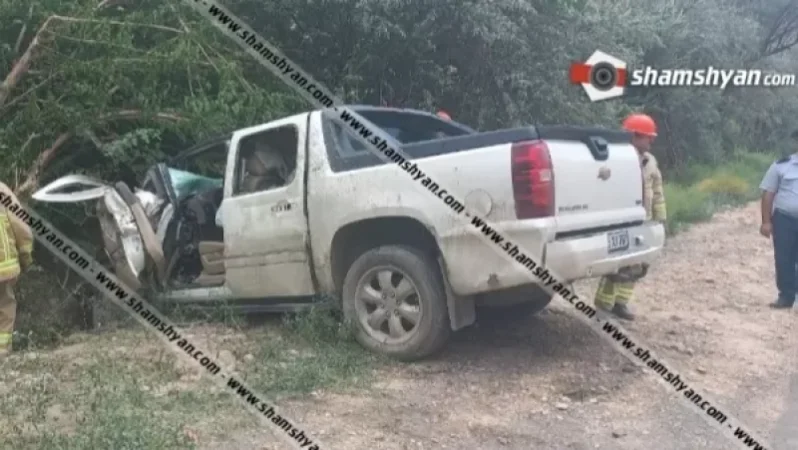 Արտակարգ դեպք. մեղուն խայթել է վարորդին, նա էլ կորցրել է մեքենայի կառավարումն ու բախվել ծառին