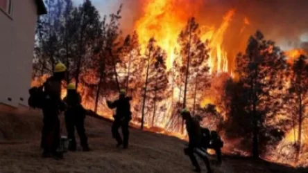 ՏԵՍԱՆՅՈՒԹ. Հրդեհ ԱՄՆ-ում. «Թրամփը գլուխը թաղել է ավազների մեջ». Լոս Անջելեսի քաղաքապետի քննադատությունը