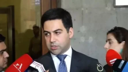 ՏԵՍԱՆՅՈՒԹ. «Սյունիքում հայտնաբերված կոկաինի դեպքերը գետի վրայով են անցկացրել կամ նետումներով». Բադասյան