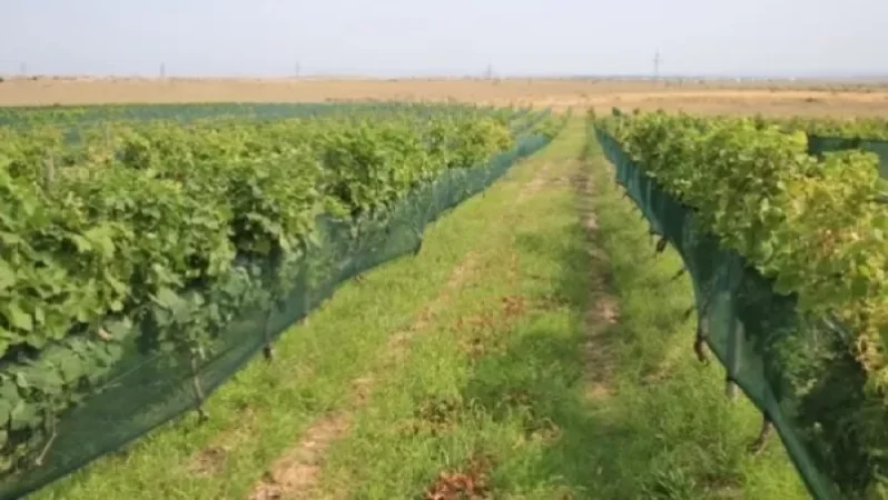 Գյուղատնտեսության ոլորտում շուտով դժգոհությունների մեծ ալիք է բարձրանալու. «Ժողովուրդ»