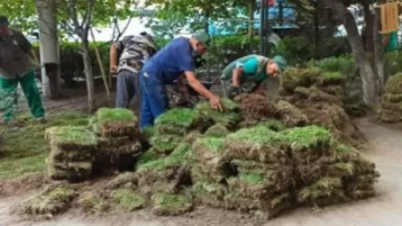 Գարեգին Նժդեհի հրապարակը կանաչապատ ու ձևավորված թփերով կներկայանա երևանցիներին