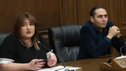 Կա հանրային մեծ դժգոհություն և այս երեք քաղաքական ուժերը հնարավորություն են ընձեռում այդ ձայնը լսելի դարձնել. Իվետա Տոնոյան