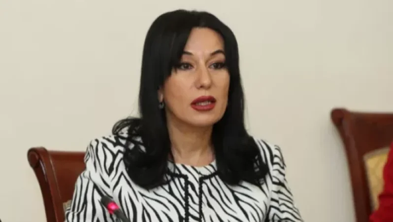 Առողջապահության նախարարությունը սարքել են մեկ մարդու քինախնդրության «դուքյան». Նաիրա Զոհրաբյան