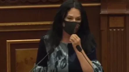 ԲՀԿ-ն առաջարկում է այս պահից սկսած համարել Արցախի ճանաչման գործընթացը. Նաիրա Զոհրաբյան