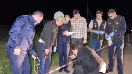 Գեղարքունիքում հնչած կրակոցների դեպքը բացահայտվել է. մանրամասներ