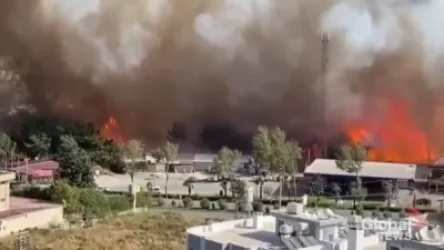 ՏԵՍԱՆՅՈՒԹ. Թուրքիայի Հաթայ նահանգում խոշոր հրդեհ է