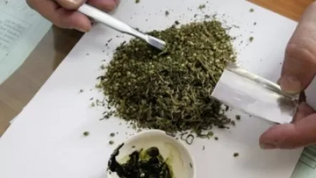 Հրազդանում թմրաշրջանառության ապօրինի դեպք է բացահայտվել