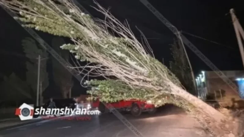 Արտակարգ իրավիճակ Կոտայքի մարզում. ուժեղ քամին տապալել է մի քանի հաստաբուն ծառեր. Shamshyan. com