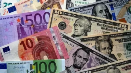 Եվրոյի և դոլարի փոխարժեքը հավասարվել է. որն է եվրոյի թուլացման պատճառը