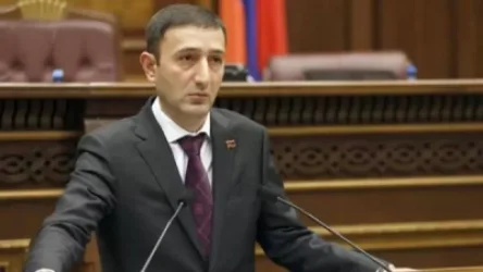 Սույն որոշումն ուժի մեջ է մտնում 2020 թվականի դեկտեմբերի 31-ին և գործում է վեց ամիս ժամկետով. Թունյանը՝ նոր նախագծի մասին