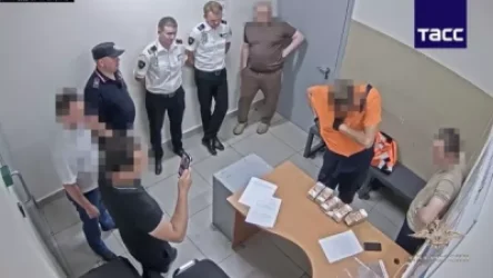 ՏԵՍԱՆՅՈՒԹ․ Ինչպես է Շերեմետևո օդանավակայանի աշխատակիցը 21 միլիոն ռուբլի գողացել և լցրել շապիկի մեջ