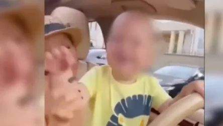 ՏԵՍԱՆՅՈՒԹ. Երեխային նստեցրել է մեքենայի ղեկին. Եկատերինբուրգի ՆԳՆ-ն ստուգում է սկսել