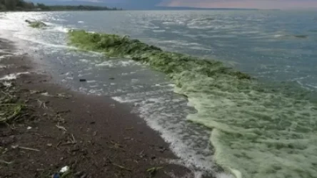 ՏԵՍԱՆՅՈՒԹ․ Ինչպե՞ս ավերեցին Սևանի մաքրման կայանը․ լրագրողը մանրամասնում է