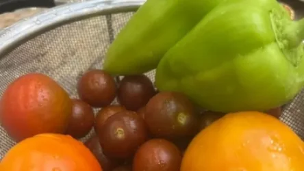 Լուսանկարներ․ Երբ 25 տարի Իջևանի հարս ես․ Աննա Հակոբյանի պատշգամբում բերքահավաք է