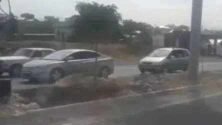 ՏԵՍԱՆՅՈՒԹ․  «2 ամսից ավել է ինչ-որ աշխատանքներ են անում․ ծառերի արմատները այ սենց  բաց ու վնասված են է»․ բնապահպան