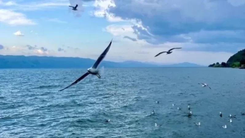 Սևանա լճից տհաճ հոտ է գալիս. «Ժողովուրդ»