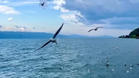 Սևանա լճից տհաճ հոտ է գալիս. «Ժողովուրդ»