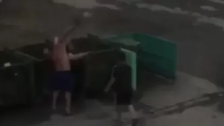 ՏԵՍԱՆՅՈՒԹ. Ինչպես են վարորդները աղբամանը գցում իրենց մեքենաների վրա քարեր նետող տղամարդուն. ՌԴ