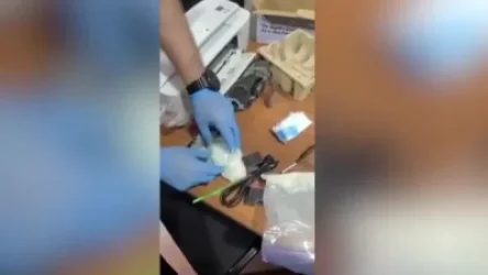 ՏԵՍԱՆՅՈՒԹ. Փոստային առաքանիներում տարբեր տեսակի թմրամիջոցներ են հայտնաբերվել. ՊԵԿ