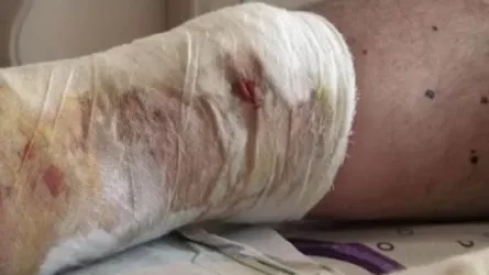 ՀՀ ՄԻՊ-ը իրականացնում է հայ զինծառայողների դիերի նկատմամբ ադրբեջանական զինուժի վայրագությունների ուսումնասիրություն