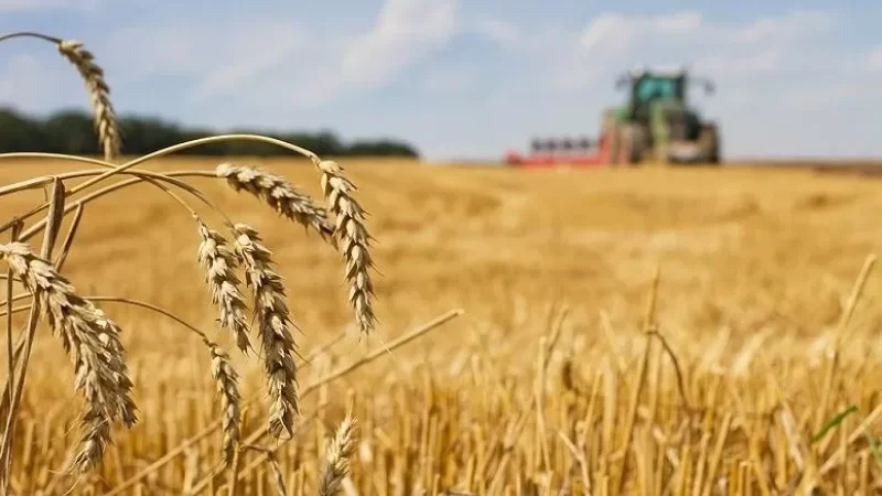 ՌԴ-ն հացահատիկի մատակարարման նոր ուղիներ է մշակում․ ՌԴ ԱԳ փոխնախարար