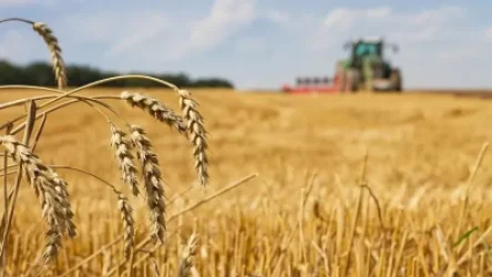 ՌԴ-ն հացահատիկի մատակարարման նոր ուղիներ է մշակում․ ՌԴ ԱԳ փոխնախարար