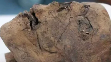 Հայտնաբերել են եգիպտական ​​մումիայի գլուխ, որի լեզուն հիանալի պահպանված է եղել