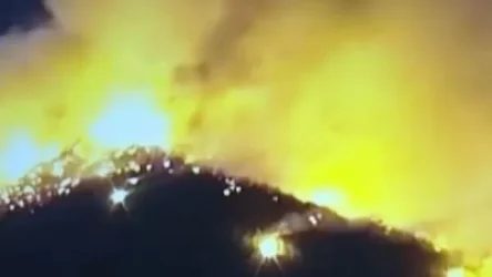 ՏԵՍԱՆՅՈՒԹ. «Ամեն խփած սնարյադի փոսի մեջ ծառ ենք տնկում, ավանդույթ է»