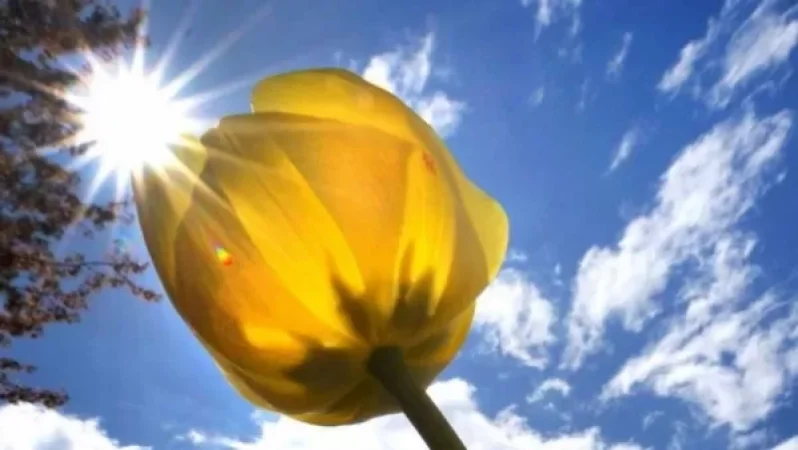 Ինչ եղանակ է սպասվում առաջիկա օրերին