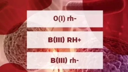 Արյան բանկում շարունակվում է արյան անհրաժեշտ խմբաքանակի համալրման գործընթացը. Յոլյանի արյունաբանական կենտրոն