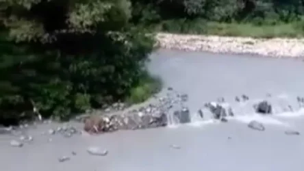 ՏԵՍԱՆՅՈՒԹ․ Դեբեդը մոխրագույն երանգ է ստացել․ քաղաքացիներն ահազանգում են