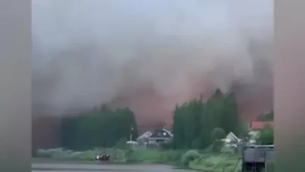 ՏԵՍԱՆՅՈՒԹ․ Յակուտիայում կարծել են, որ կարողացել են մարել անտառային հրդեհը, սակայն ավելի ուշ այն ուժգնացել է