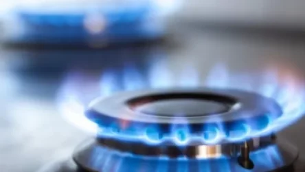 Գազ ես օգտագործում՝ հարկ վճարիր․ Գերմանիան պատրաստվում է փոփոխությունների գնալ