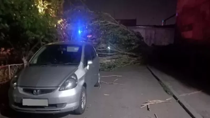 Քամին Երևանում վնասներ է հասցրել