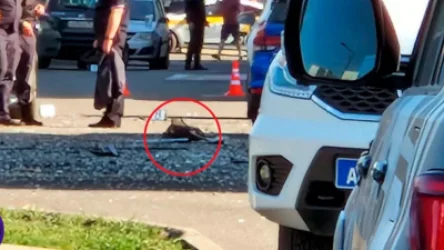 ՌԴ պաշտպանության նախարարությունը՝  Մոսկվայի վրա հարձակման մասին