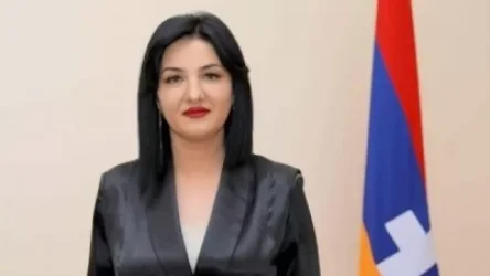 «Հակված եմ ենթադրելու, որ Ադրբեջանը նոր սկսում է խոսել իր` 2 օր առաջվա զոհերի մասին». Մետաքսե Հակոբյան