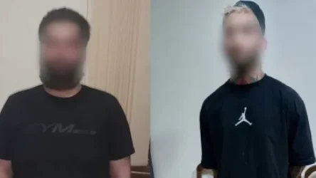 ՏԵՍԱՆՅՈՒԹ. Տելեգրամով թմրանյութ էին վաճառում. 4 օտարերկրացի է ձերբակալվել