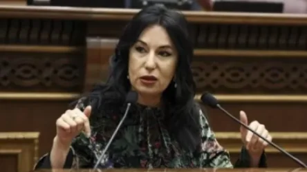 Սա քաղաքական հաշվեհարդար է Նիկոլ Փաշինյանի կողմից, սա նրա մանրախնդիր քինախնդրությունն է. Ն. Զոհրաբյանը՝ Ծառուկյանին մանդատից զրկելու հարցով ՍԴ դիմելու մասին