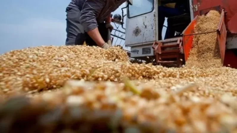 «Ո՞րն է տարբերությունը հացահատիկի և երկաթի հանքաքարի միջև». ինչ են ասում Ուկրաինայից