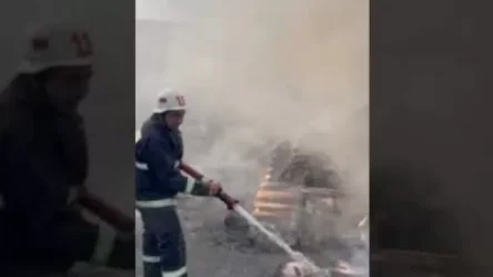 ՏԵՍԱՆՅՈՒԹ. Ինչպես են մարում Առինջում բռնկված հրդեհը