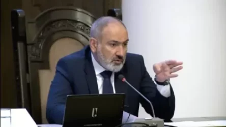 ՏԵՍԱՆՅՈՒԹ. «Կամուրջը մի պահ երևում է, հետո անցնում ծառերի հետևը». Փաշինյանը կարծում է` ծառերը պետք է կտրել, այլ տեղում տնկել