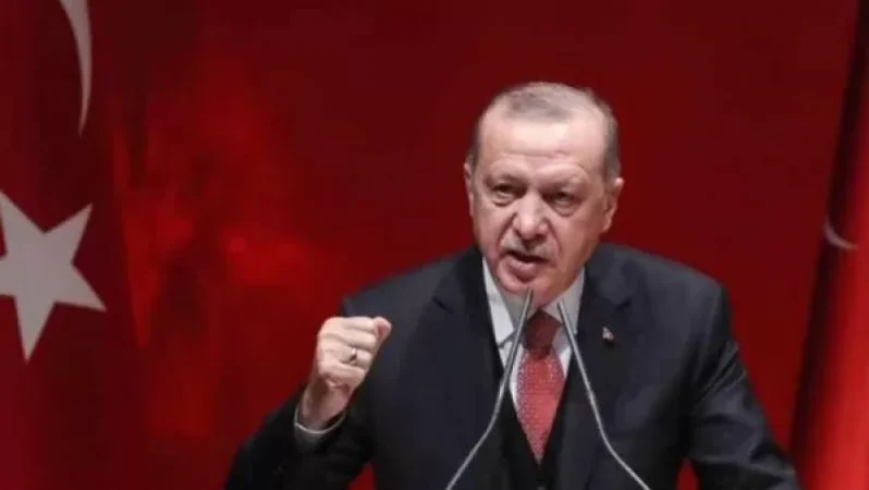 Erdogan Calls France's Resolution on Nagorno-Karabakh a 'Complete Disaster'