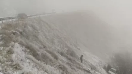 Ճամբարակ-Դրախտիկ ճանապարհին ավտոմեքենան բախվել է արգելապատնեշին և 35 մետր գլորվել ձորը