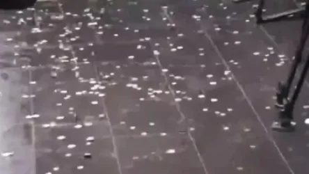 ՏԵՍԱՆՅՈՒԹ. Վարչապետի  հրաժարականը պահանջողները մանրադրամներ նետեցին Կառավարության շենքի դիմաց