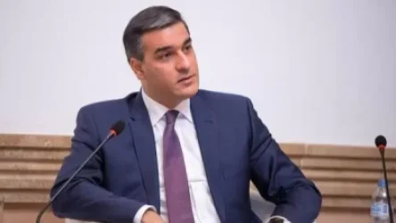 ՄԱԿ-ի հռչակած կանոնը մեզ համար չդարձավ իրական կյանքում իրական մարդուն պաշտպանող սկզբունք. Թաթոյանն ուղերձ է հղել