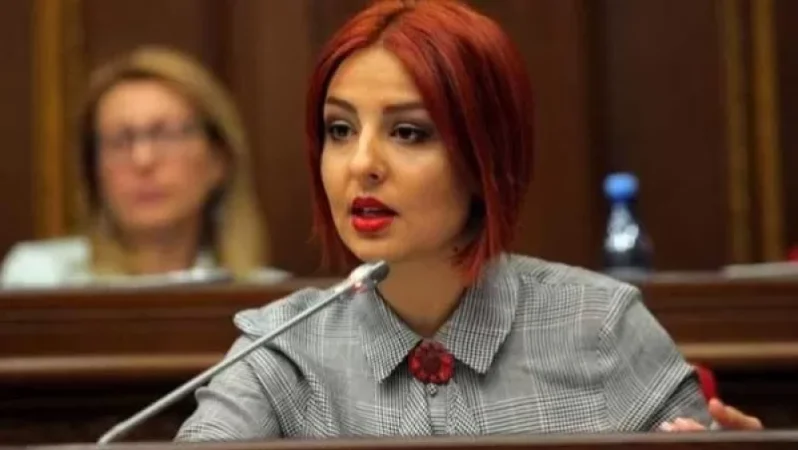 Խաղաղ հավաքների ընթացքում ոստիկանի գործը մարդու բողոքի ձայնը լռեցնելը չէ, այլ՝ նրա անվտանգության ապահովումը. Անի Սամսոնյան