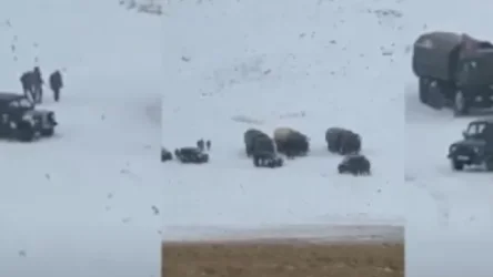 ՏԵՍԱՆՅՈՒԹ.Ադրբեջանական զորամիավորումները կուտակվում են Ջերմուկի սարերում. զորամաս են կառուցելու. «Փաստինֆո»