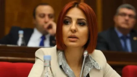 «ՎԵՏՕ» շարժման ակցիայի ընթացքում արձանագրվել է ոստիկանների կողմից անհամաչափ ուժի կիրառման դեպքեր. Անի Սամսոնյան